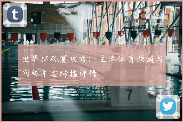 世界杯观赛攻略：主流体育频道与网络平台转播详情