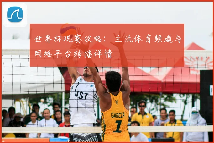 世界杯观赛攻略：主流体育频道与网络平台转播详情