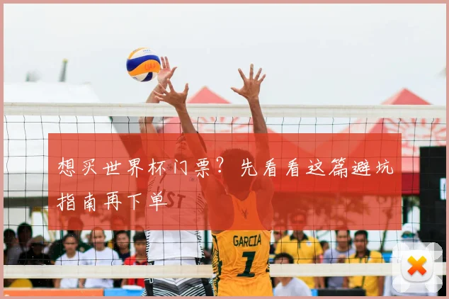 想买世界杯门票？先看看这篇避坑指南再下单
