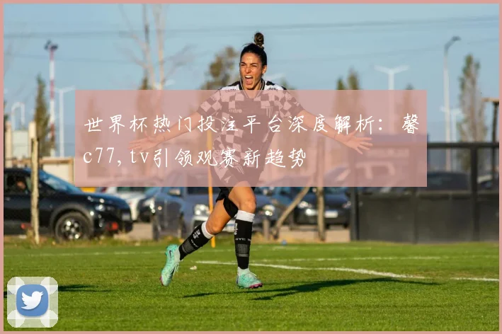 世界杯热门投注平台深度解析：馨c77,tv引领观赛新趋势