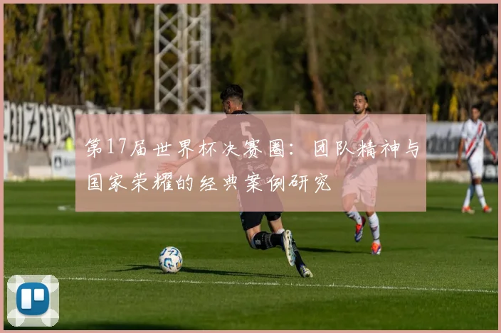 第17届世界杯决赛圈：团队精神与国家荣耀的经典案例研究