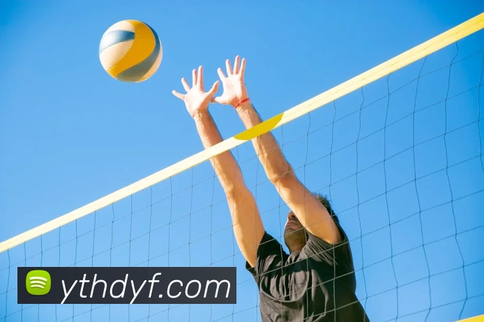 App Interface Preview