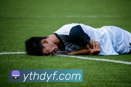 九游体育直播入口APP 封面图